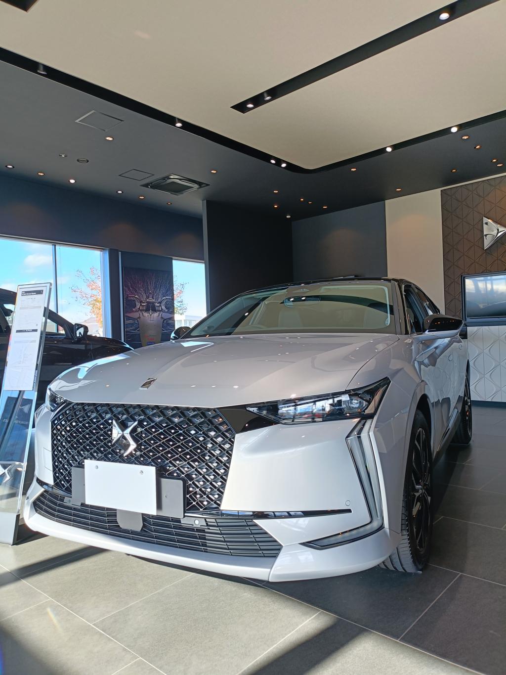 DS ART OF TRAVEL FAIR 11/24㈪まで✨