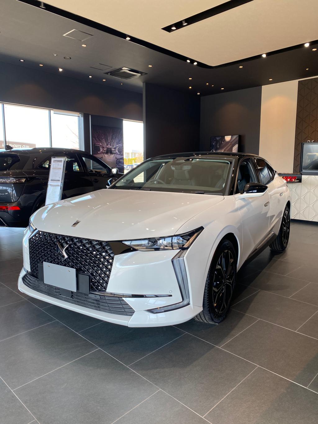 スペシャルオファー実施中！