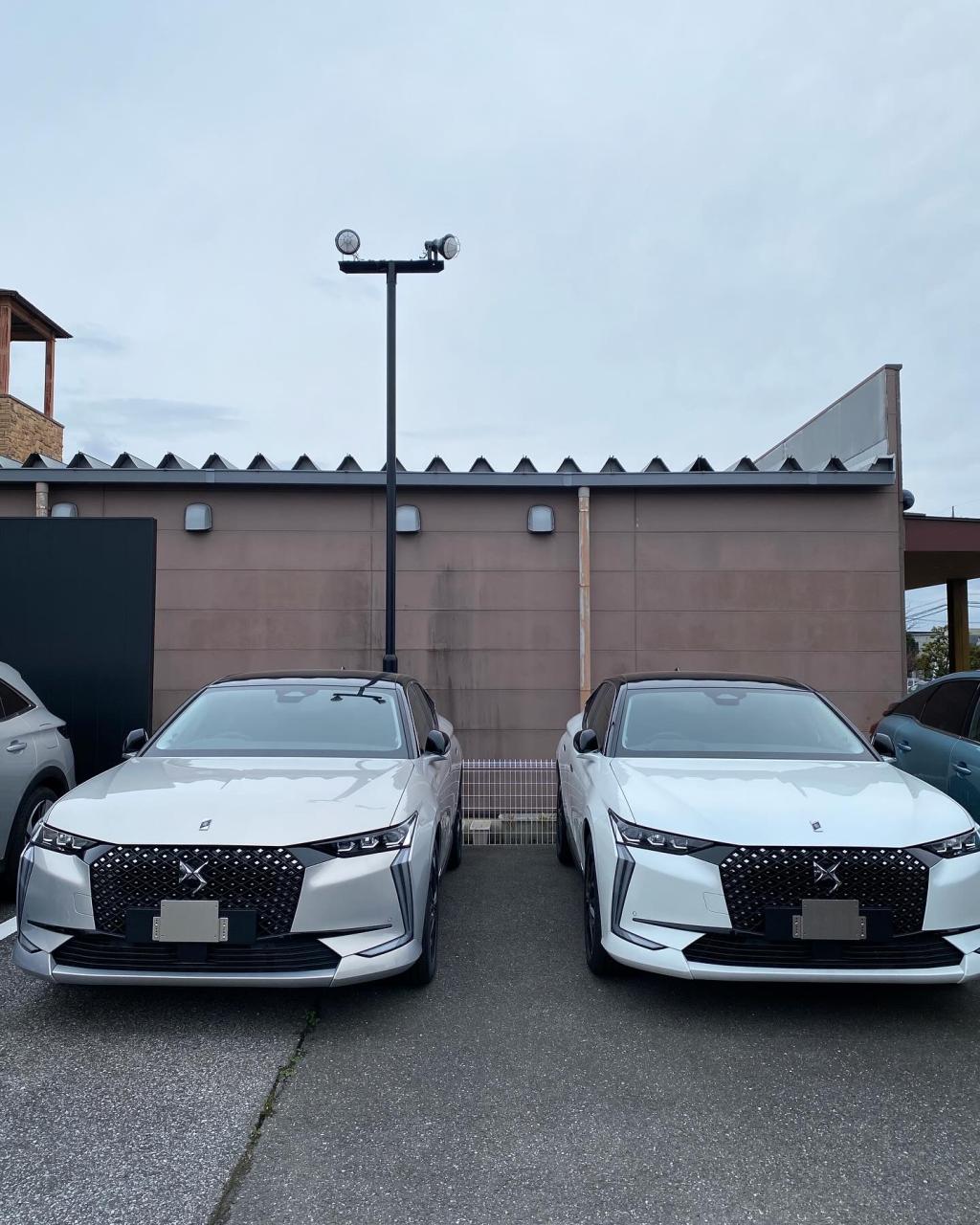 プライスオファー実施中です！