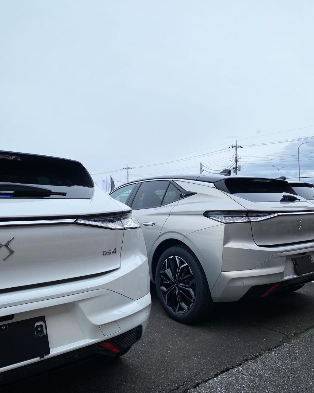 プライスオファー実施中です！