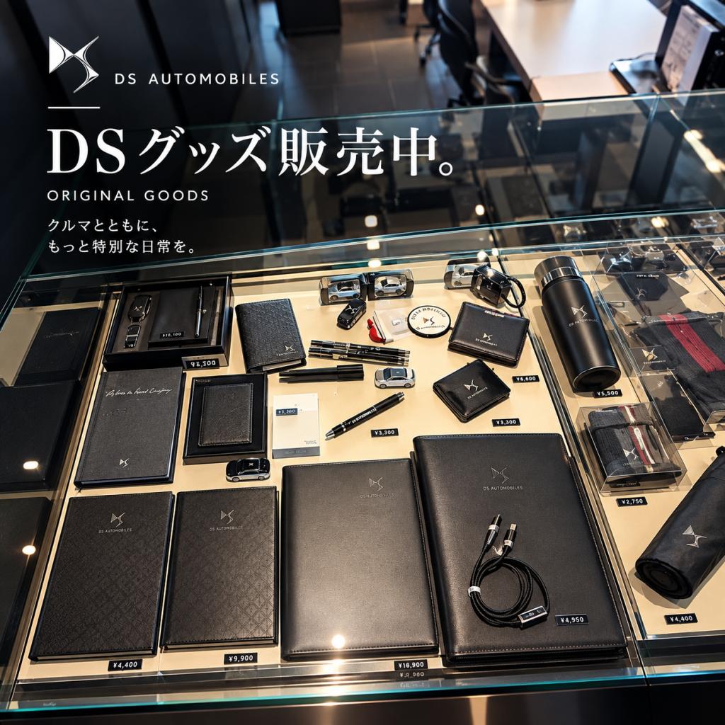 DSグッズ